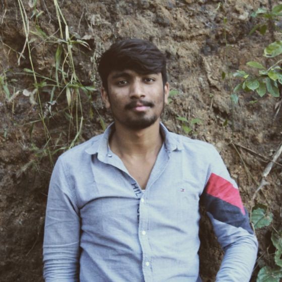 Dhivakar Ak - Software Engineer | Stackforce