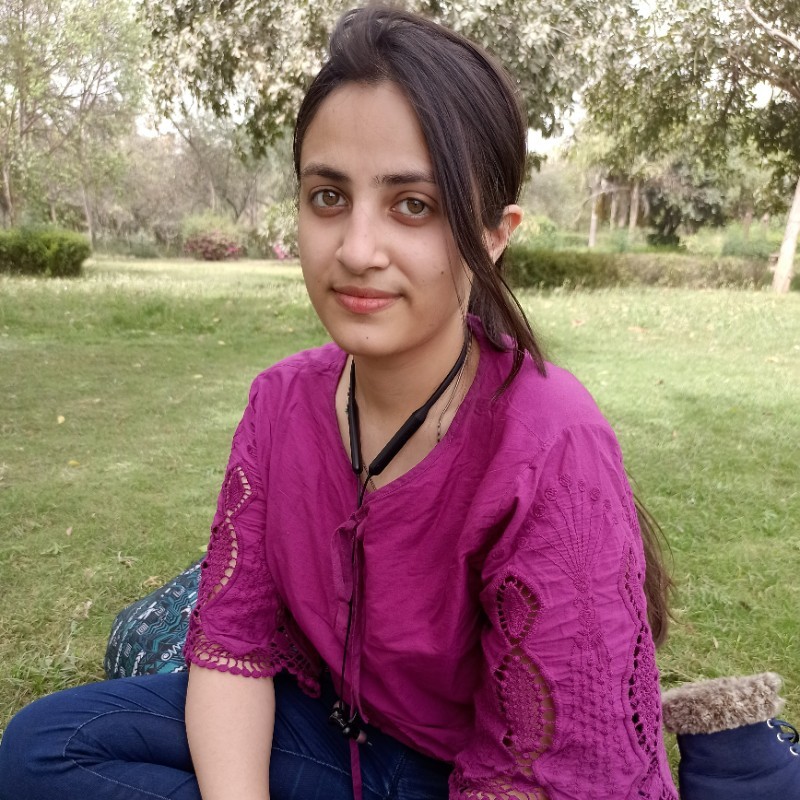 Hansa Mehra - Software Engineer | Stackforce