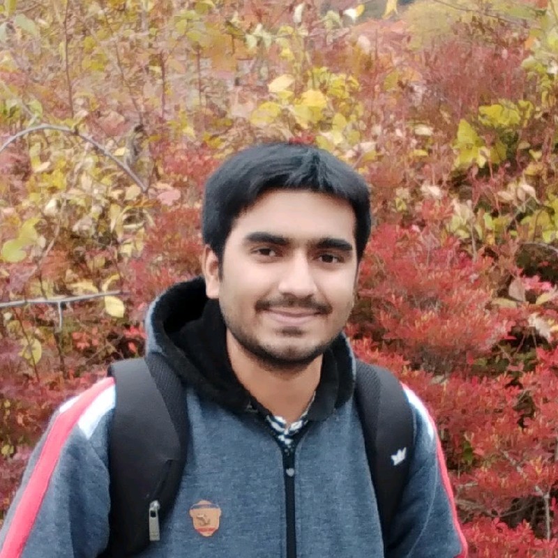 Hemang P. - Associate Consultant | Stackforce