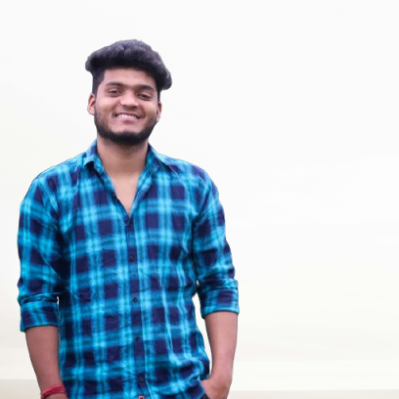 Praveen Kumar Tamta - Data Analyst | Stackforce
